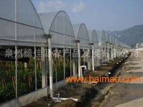 泉州蔬菜批发与配送 一站式安全保障，新鲜美味直达