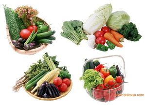 新鲜蔬菜批发直供 热销品类低价甩卖，源头厂家与供应商一站式采购指南