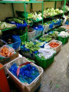 专业蔬菜粮油配送服务，为饭店食堂提供一站式新鲜食材供应